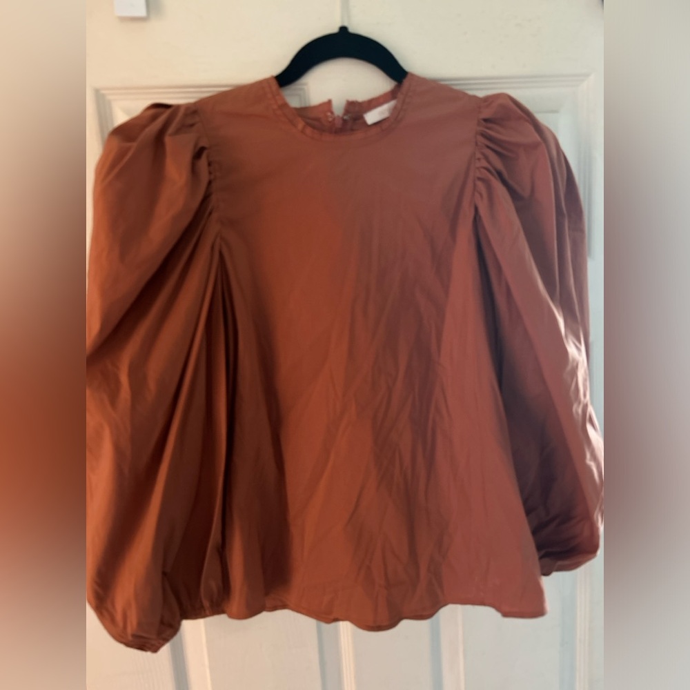 Olivaceous Terracotta Puff Sleeve Blouse